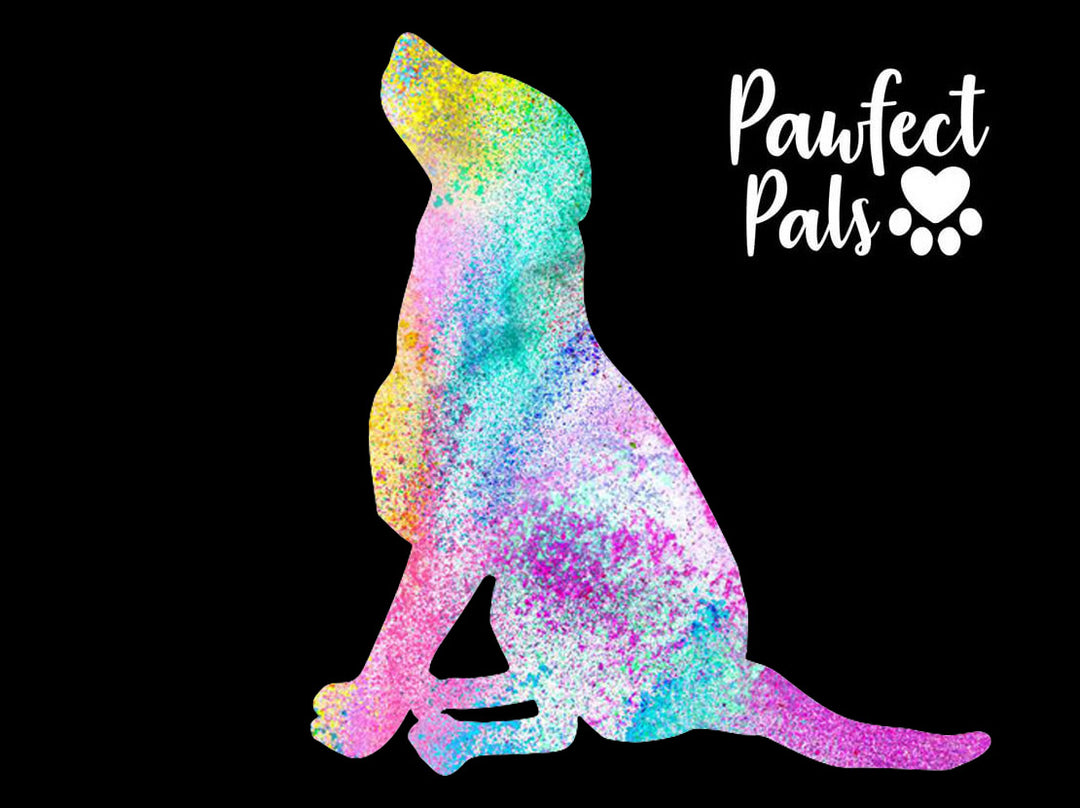 Multi-coloured silhouette of dog against black background with Pawfect Pals logo.