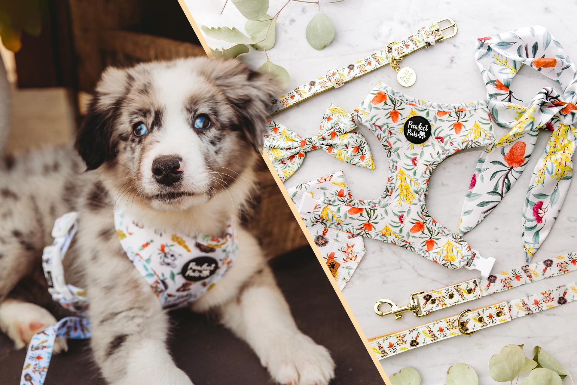 Dog accessories afterpay best sale