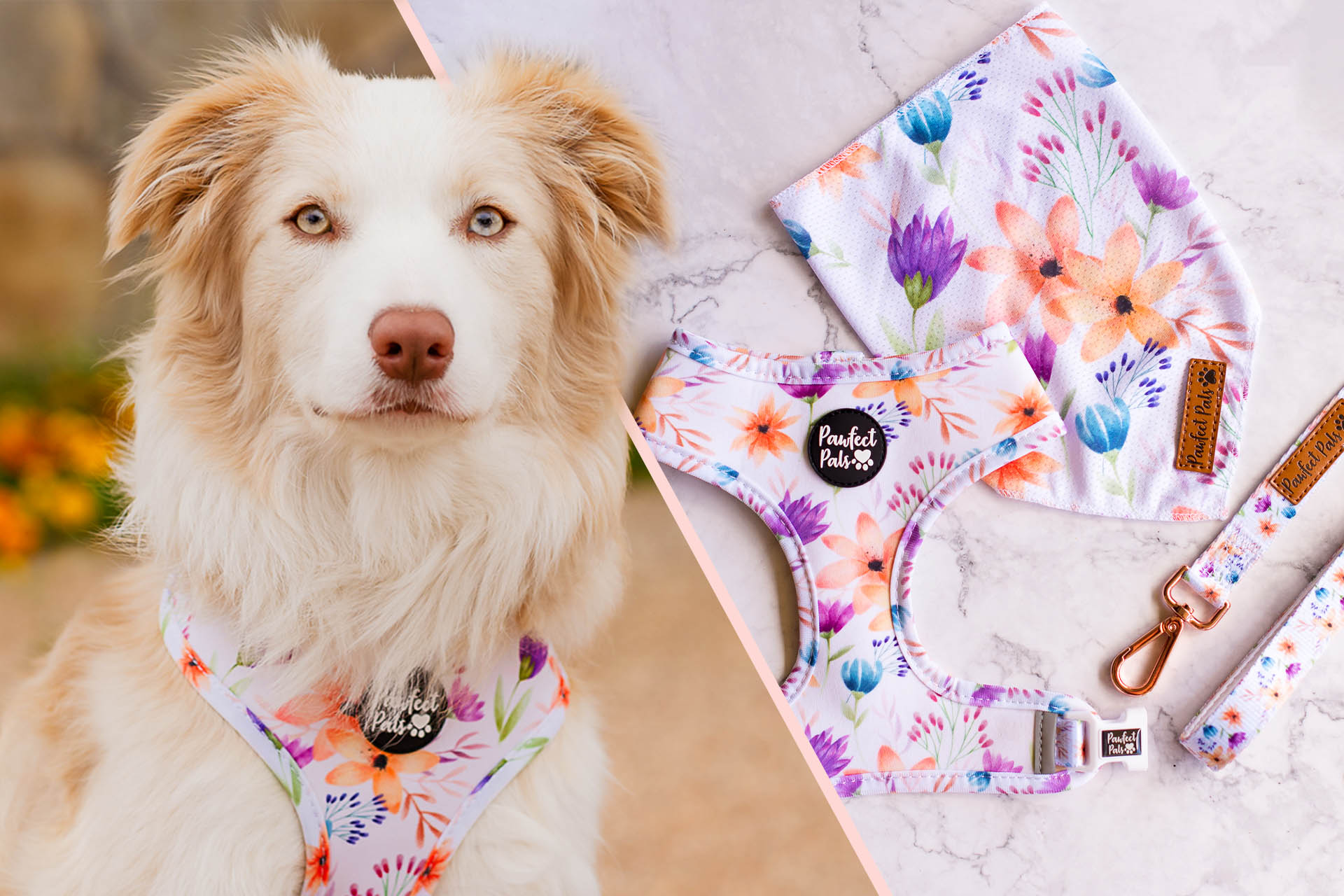 Girl clearance dog accessories