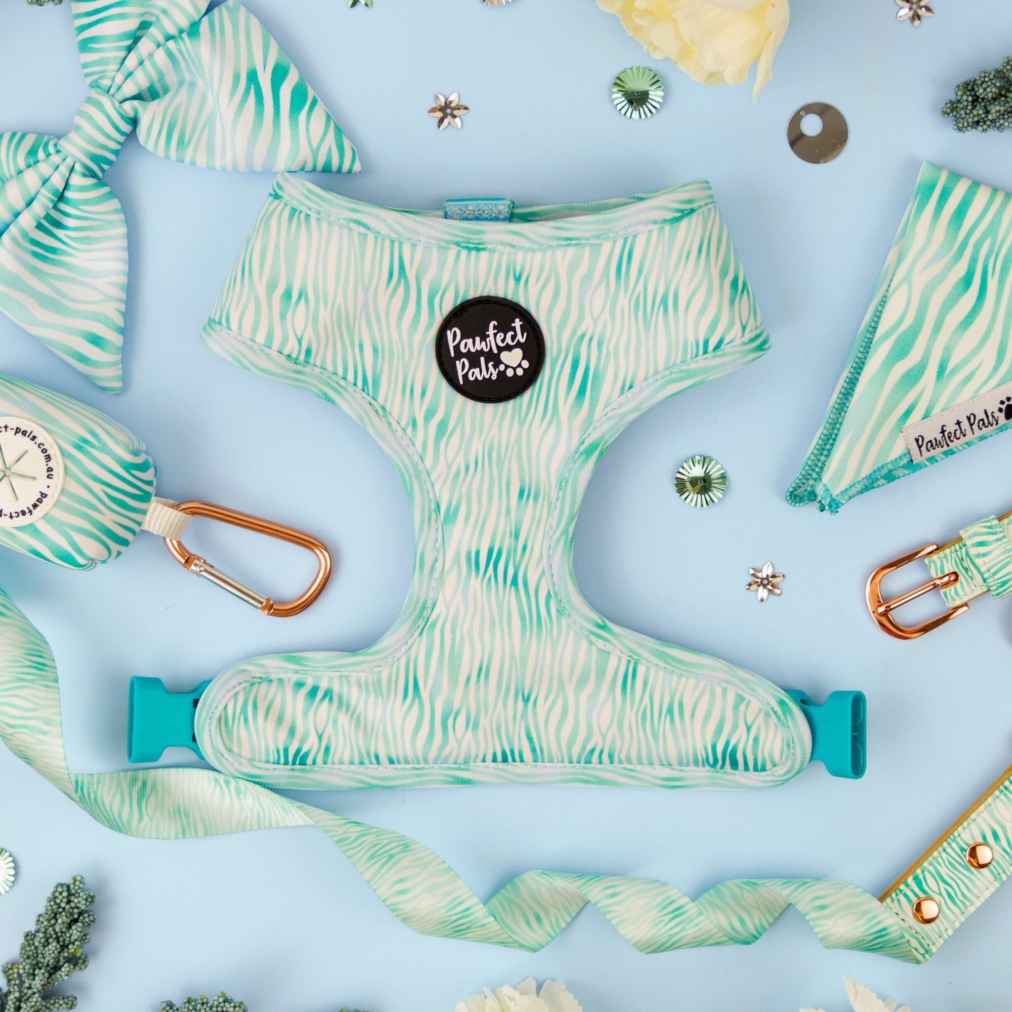 Aquamarine Dreams - Zebra Walkies Pack