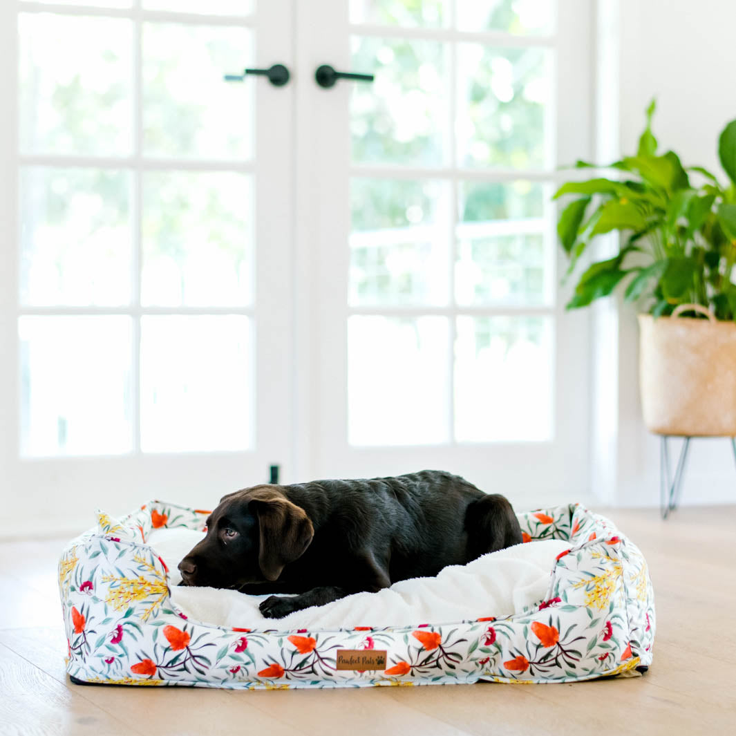 Australian Beauties - Flora snuggle bud dog bed in XL.