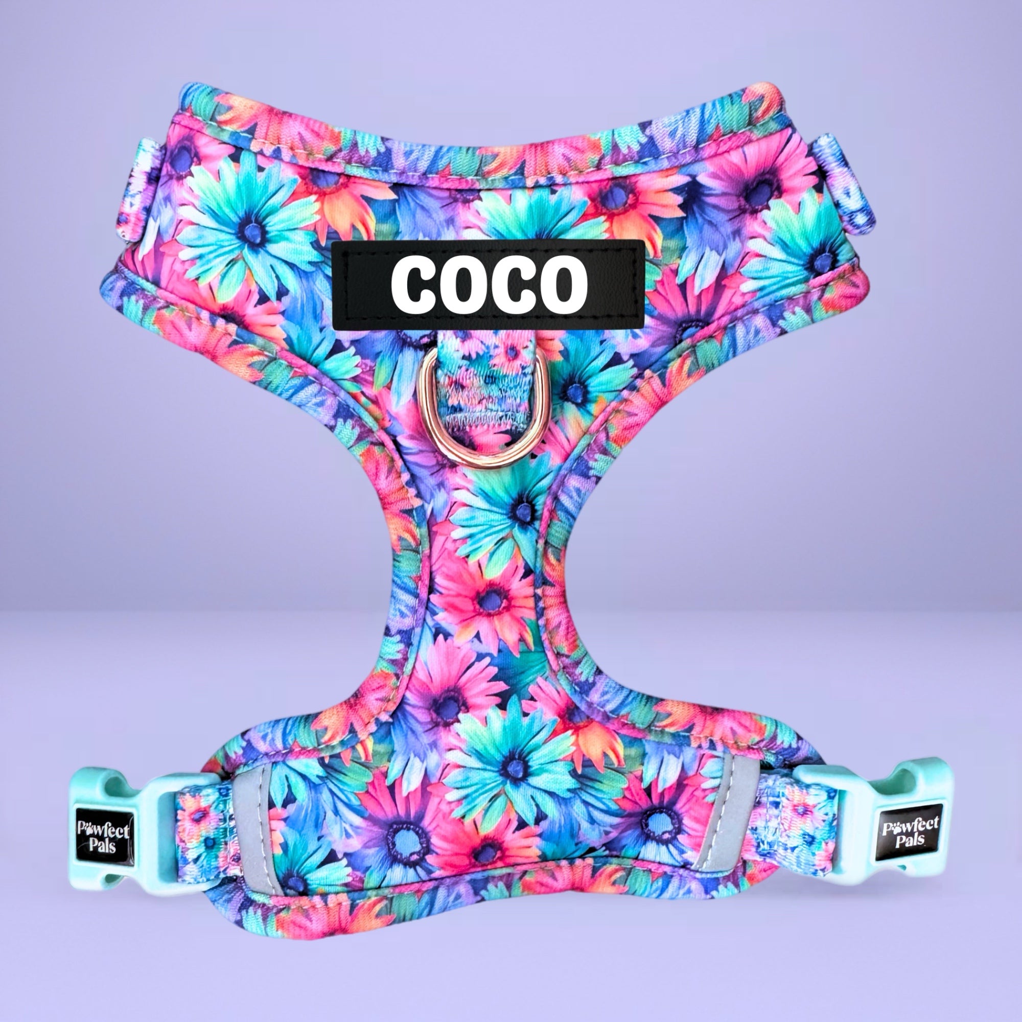 Daydream Believer - Personalised Adjustable Harness Duo