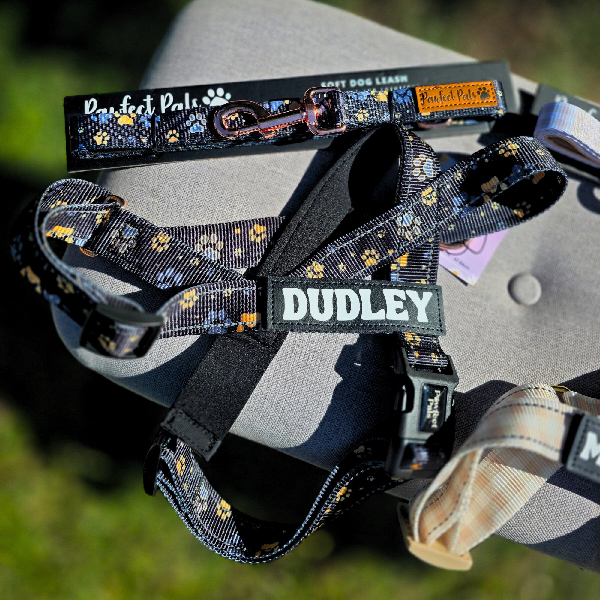 Dog harness with 'Dudley' branding on a metal surface