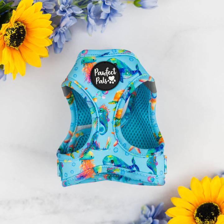 Dogs Just Wanna Have Sun - Under The Sea Cat Harness