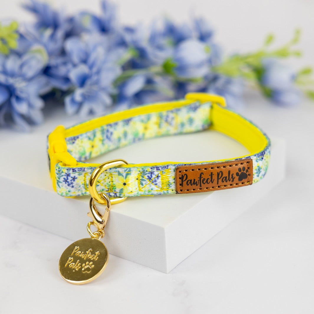 Little Blossom soft dog collar.