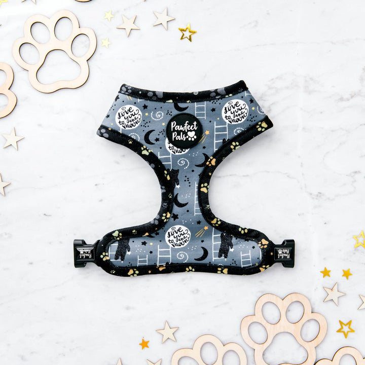 To the moon and back side of the I Love You BEARy Much reversible harness.