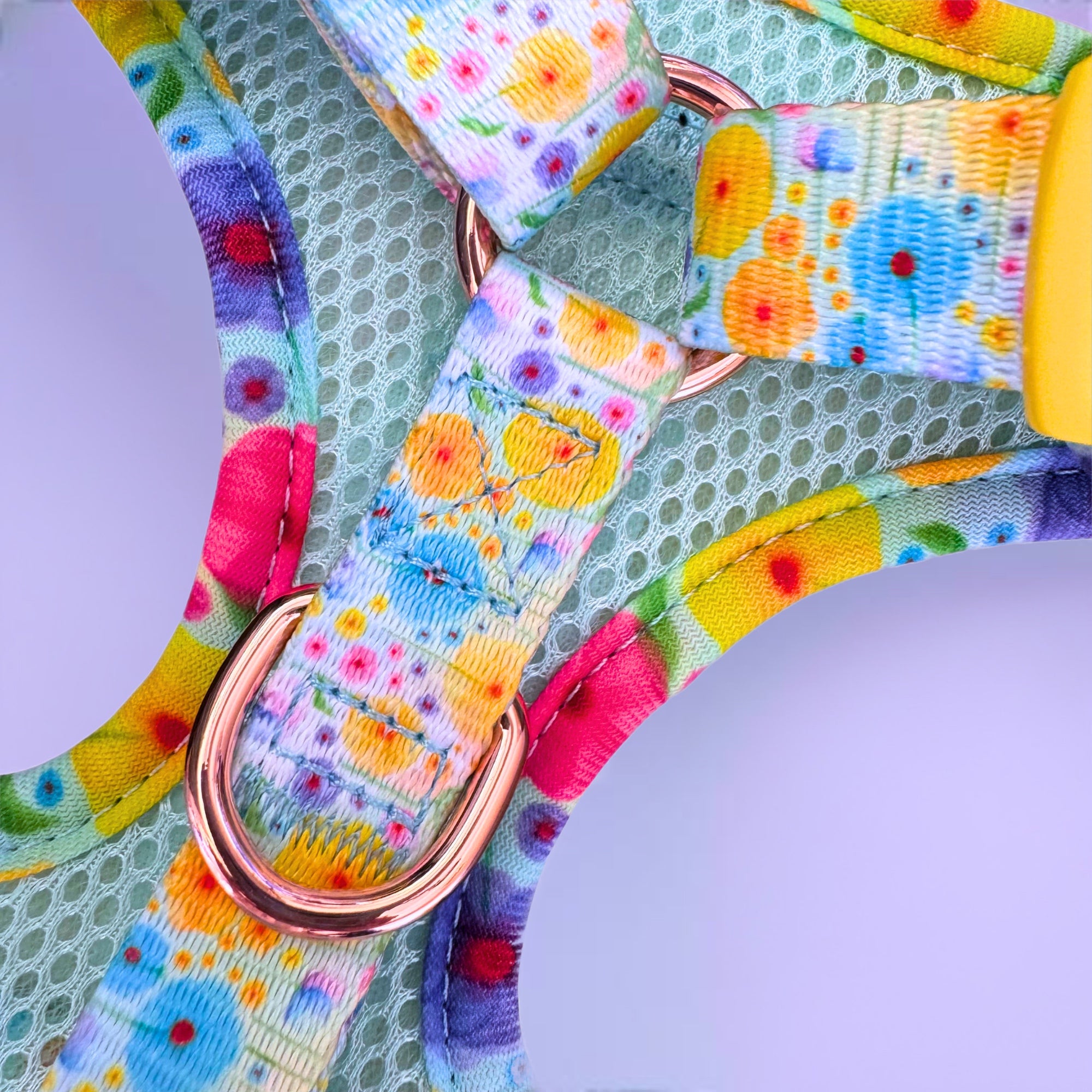 Once & Flor-All - Personalised Adjustable Harness Trio