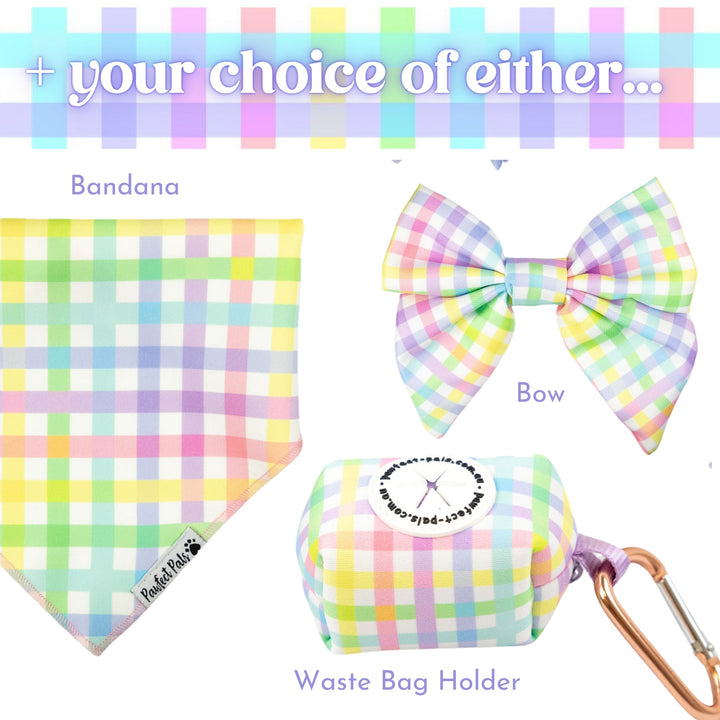 Once & Flor-All - Rainbow Gingham Walkies Pack