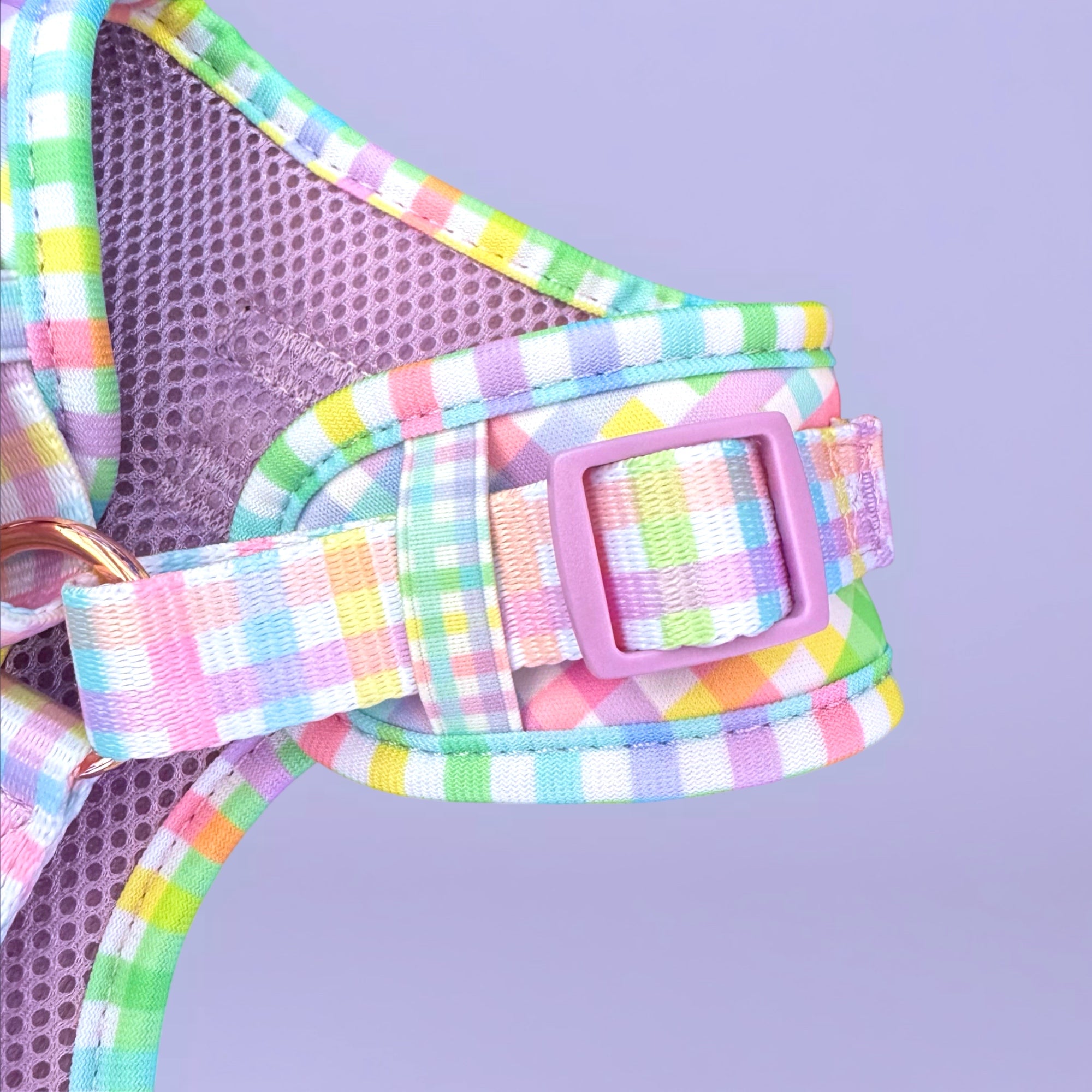 Rainbow Gingham - Personalised Adjustable Harness Duo