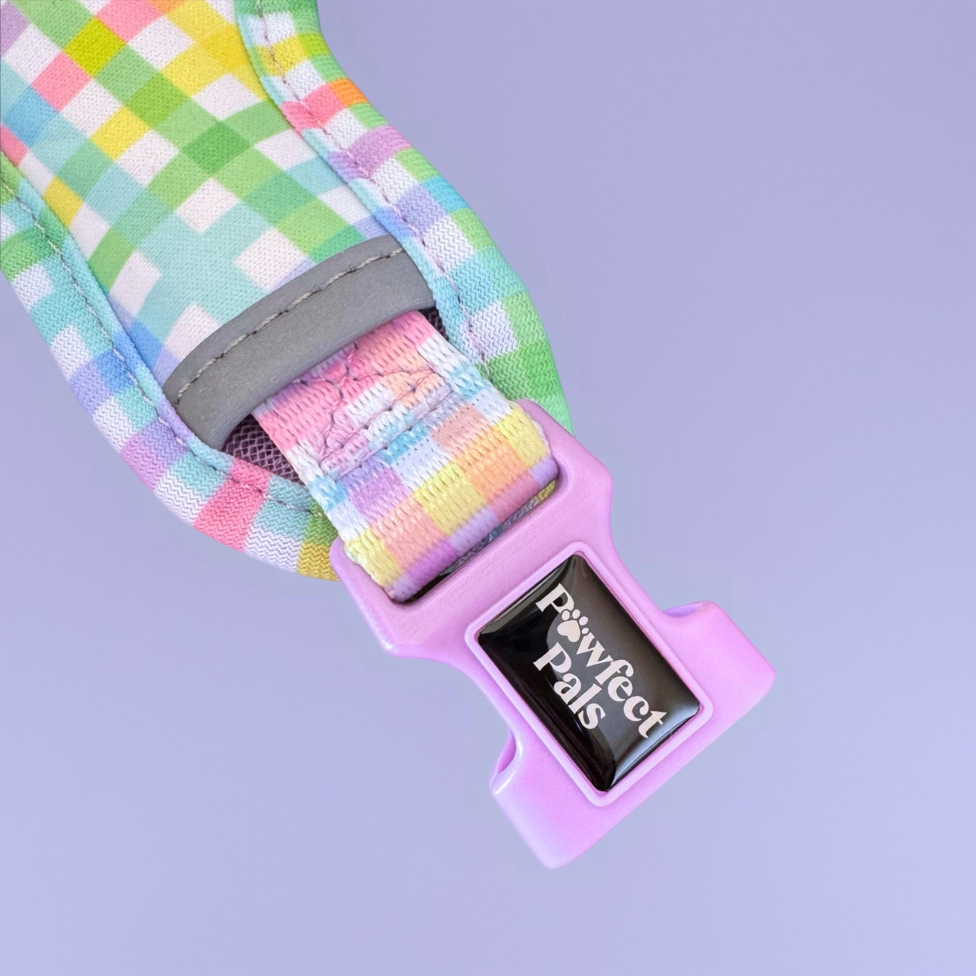 Rainbow Gingham - Personalised Adjustable Harness Duo