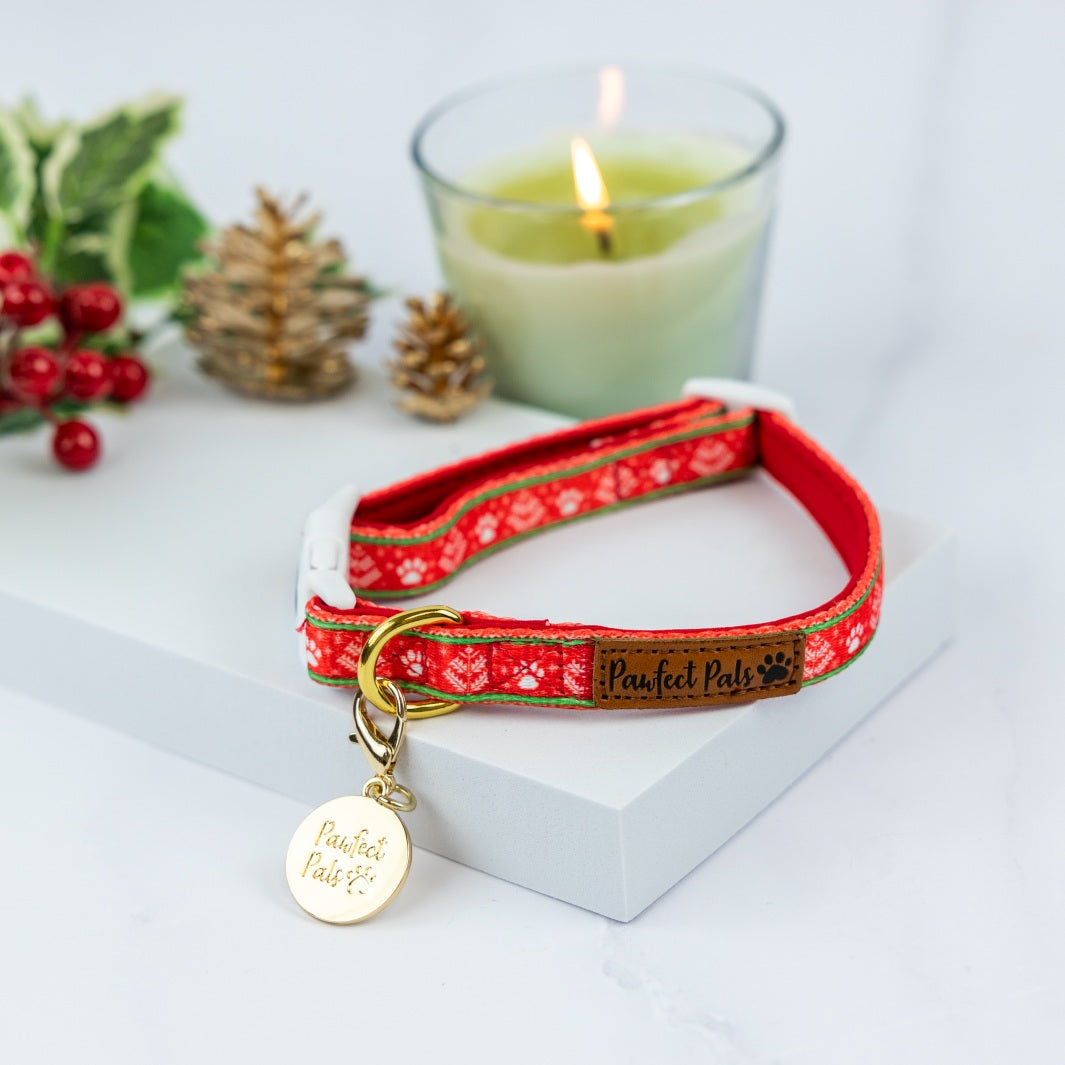 Sleigh-In It soft collar.