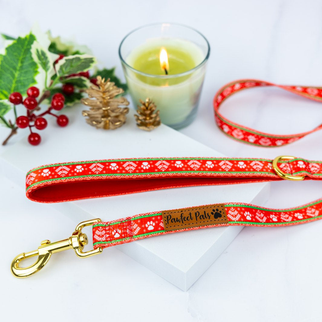 Sleigh-In It soft lead.