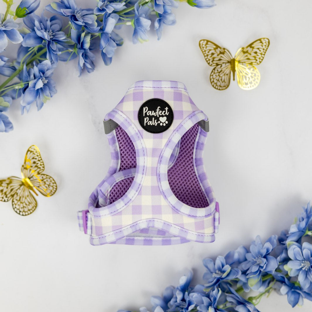 Social Butterfly - Purple Gingham cat harness.