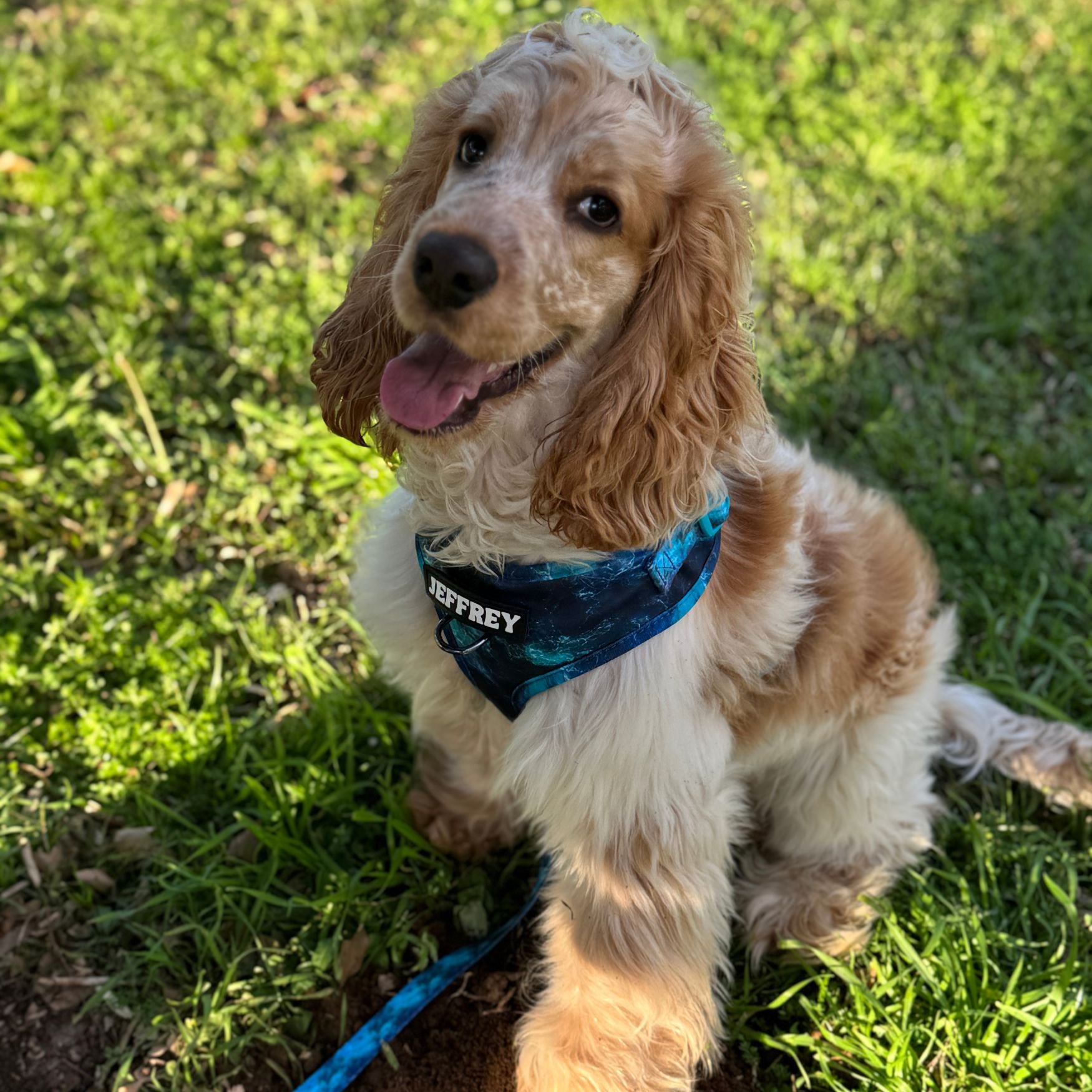 Shell Yeah - Ocean Waves Soft Lead