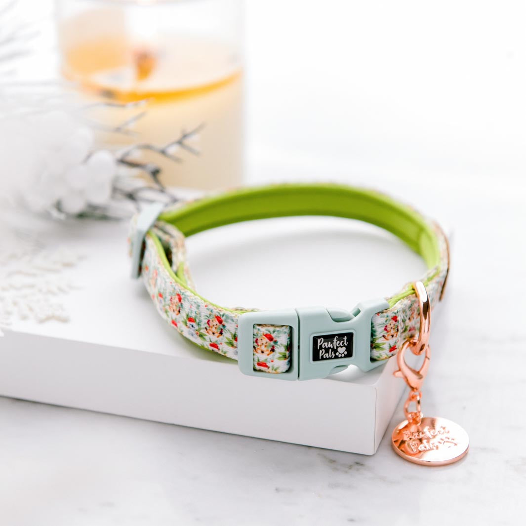 Christmas Wishes & Puppy Kisses soft collar.