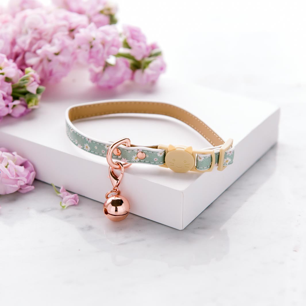 Daisy Baby cat collar.