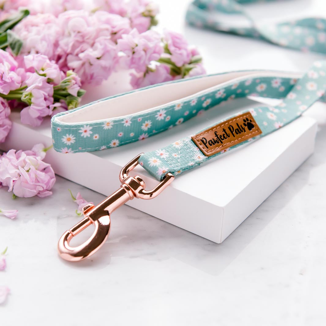 Daisy Baby soft lead.