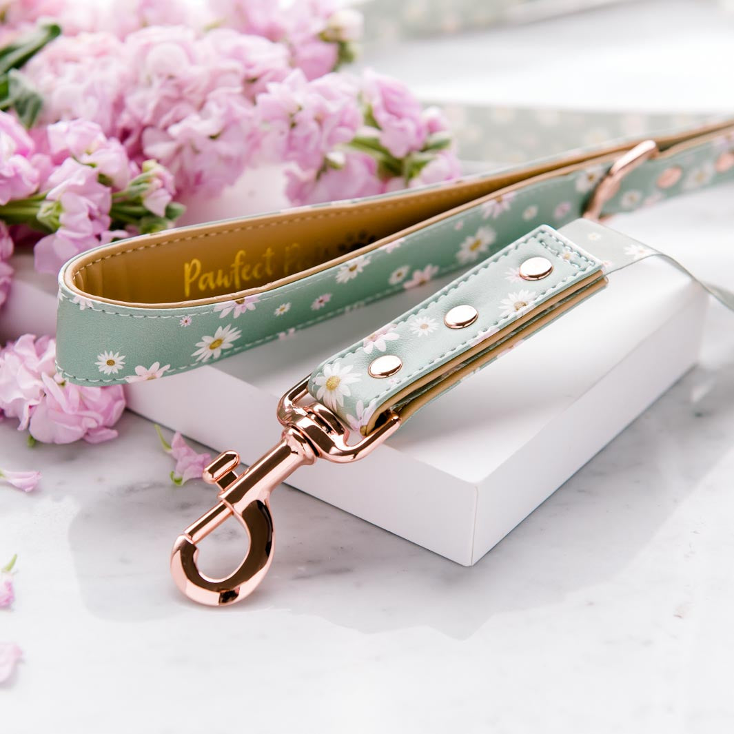 Daisy Baby vegan leather dog lead.