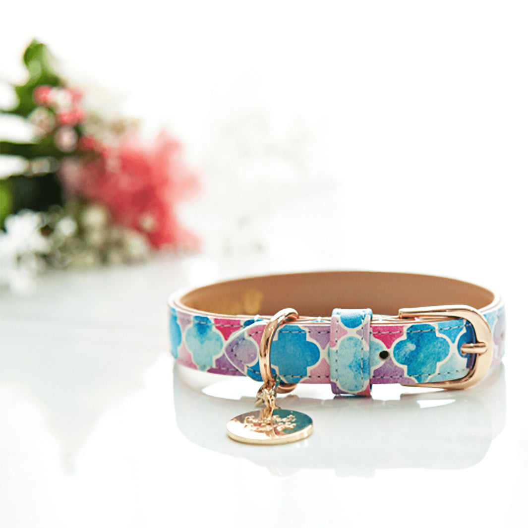Don't Quit Your Daydream - Enchanted vegan leather dog collar.