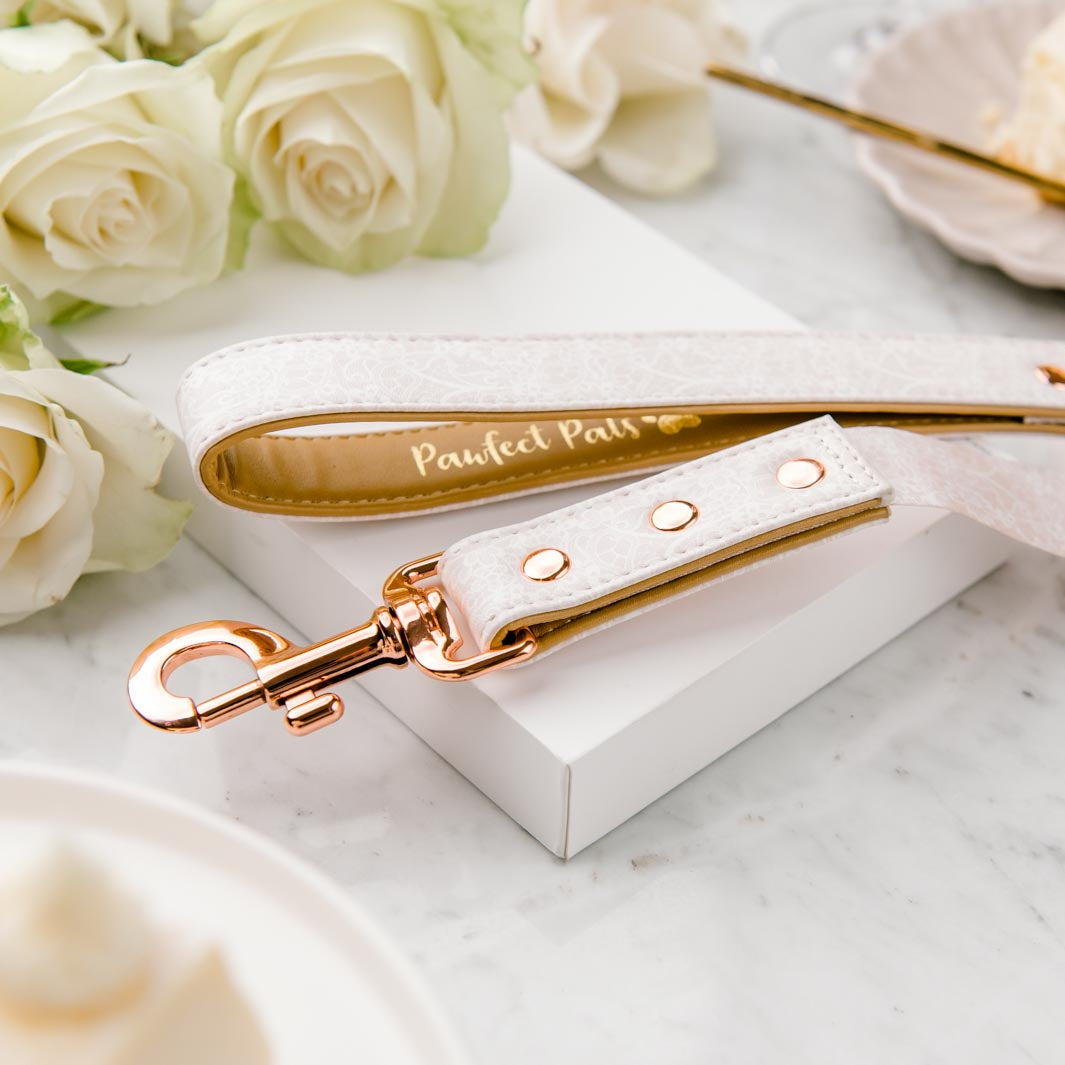 Pawfect Celebrations - Lace vegan leather dog lead.