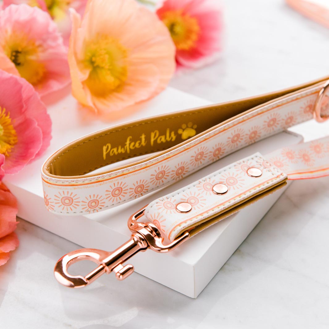 Sunkissed vegan leather dog lead.