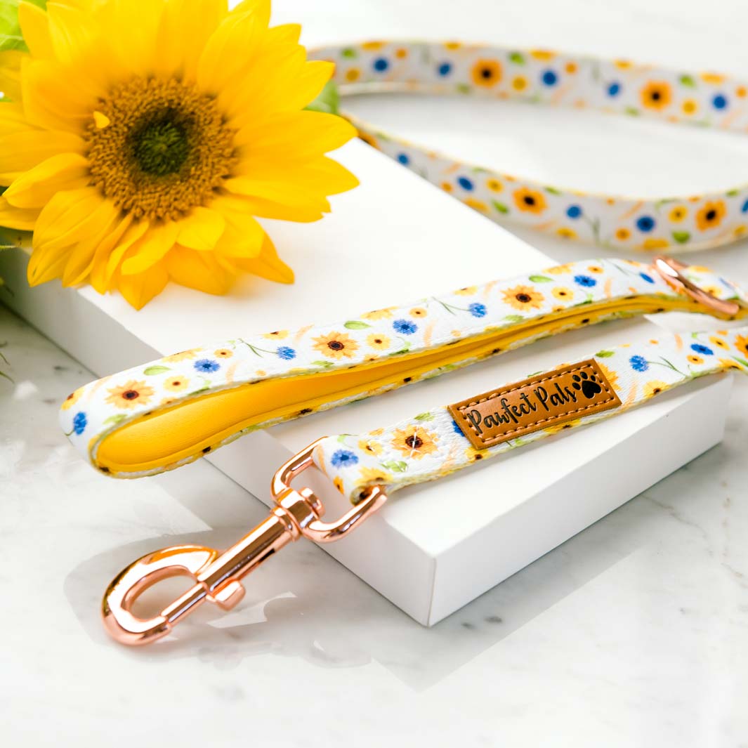 Sunshine on my Mind - soft lead for dogs.