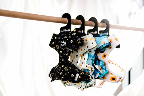 I Love You BEARy Much, Sweet Like Honey, Shell Yeah and Sunshine on my Mind reversible dog harnesses.