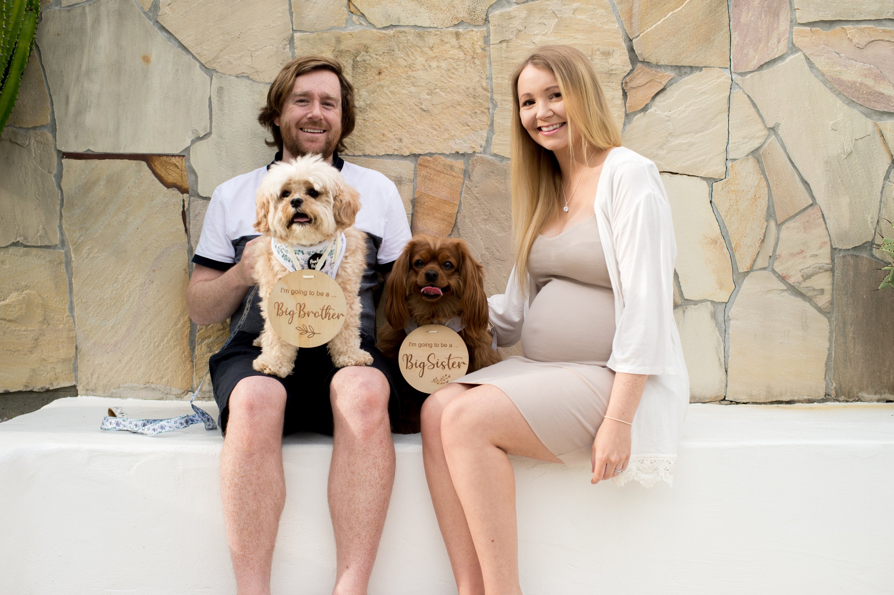 Celebrating Pawfect Pals' Fifth Birthday!