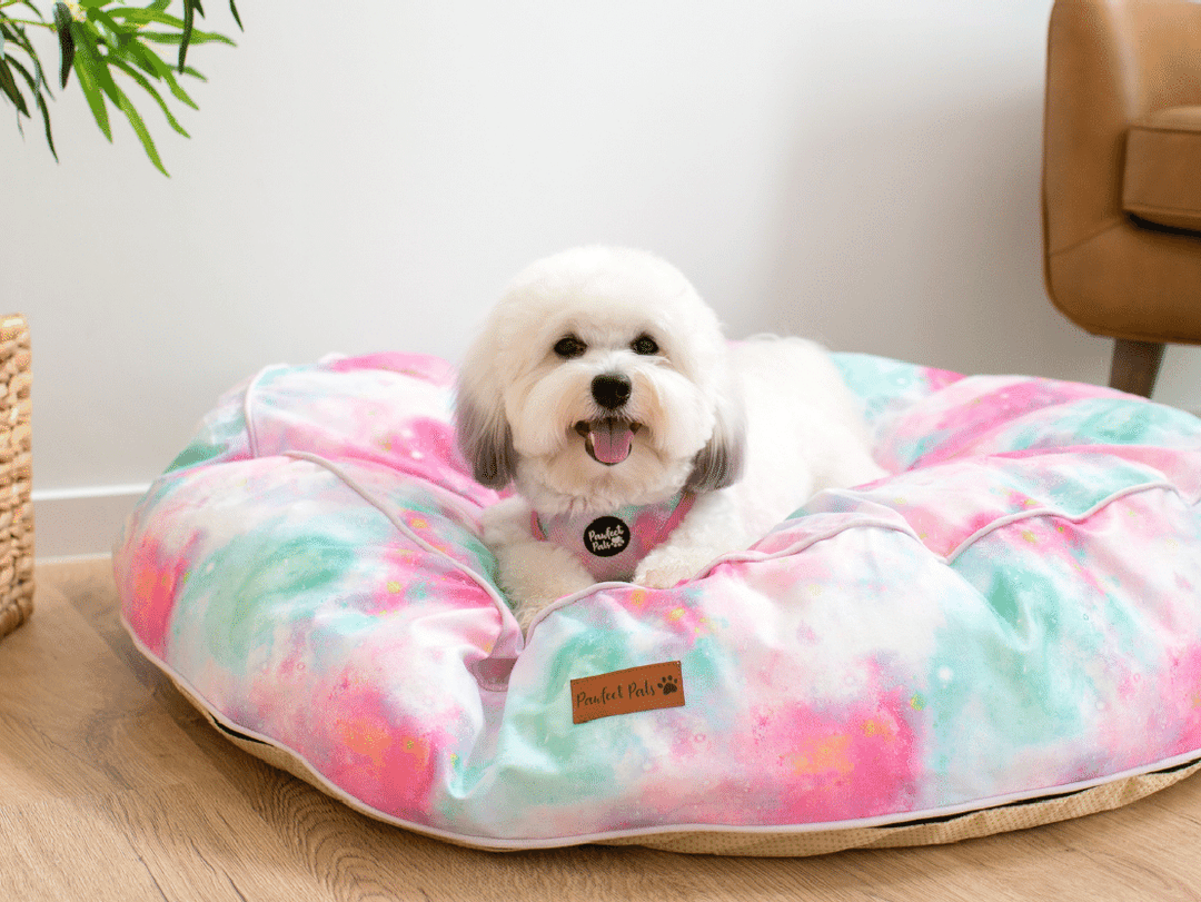 AmbassaDOG Ted in his Dreamy Days Cuddle Bud Dog Bed