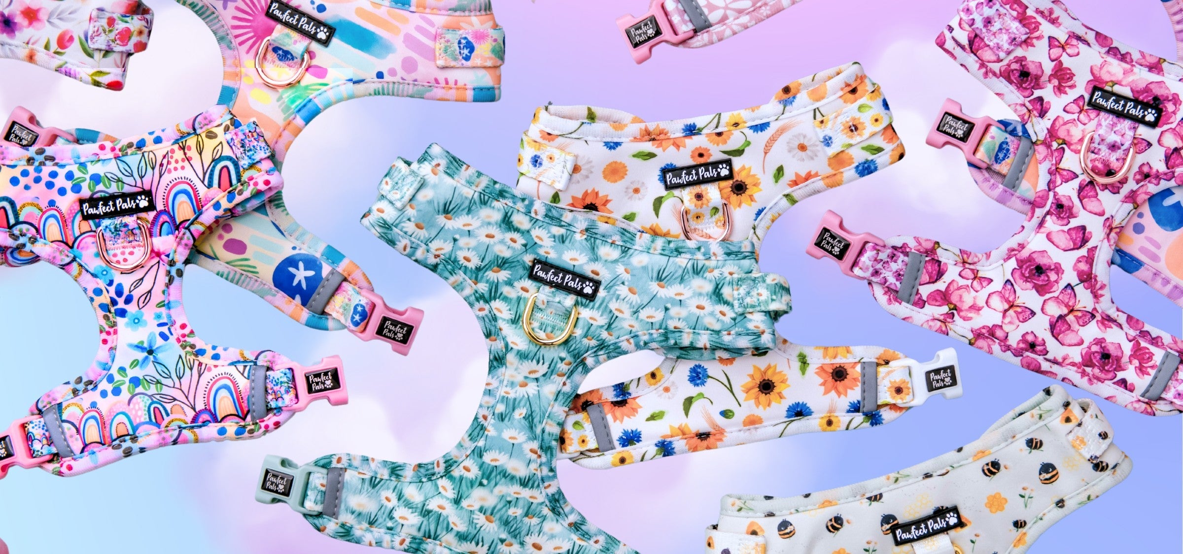 lots of pretty dog harnesses on cloud background