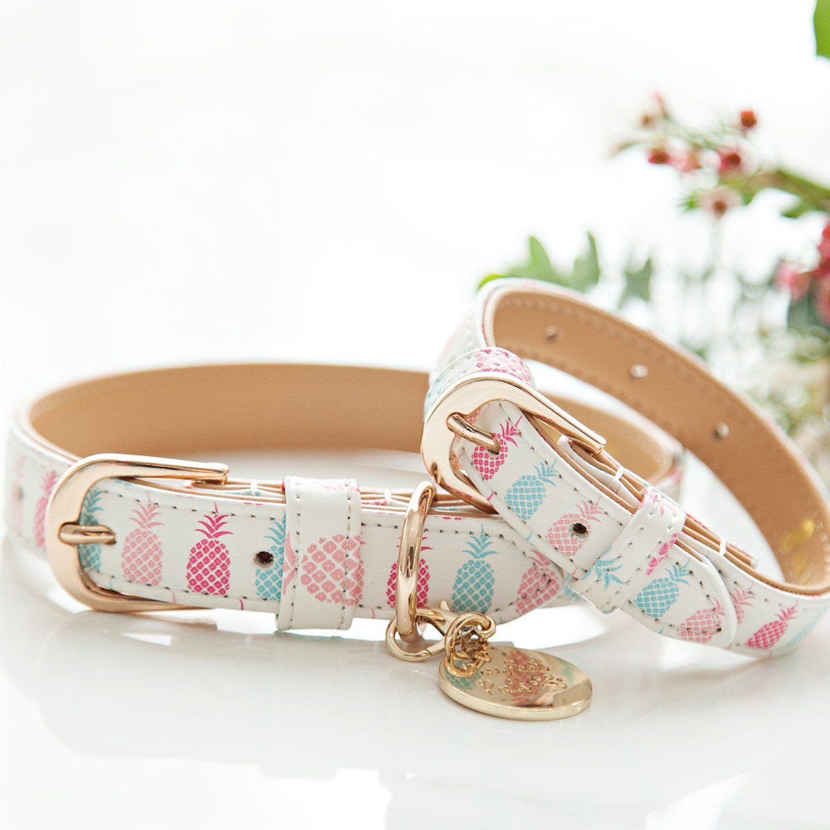 The Blissful dog accessories collection.