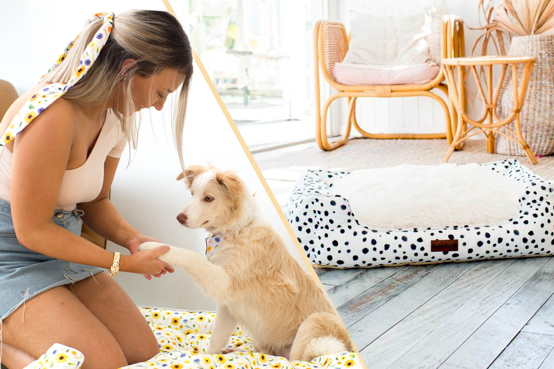 Fur mama wears a Pawfect Pals bracelet as she shakes her pup's paw.