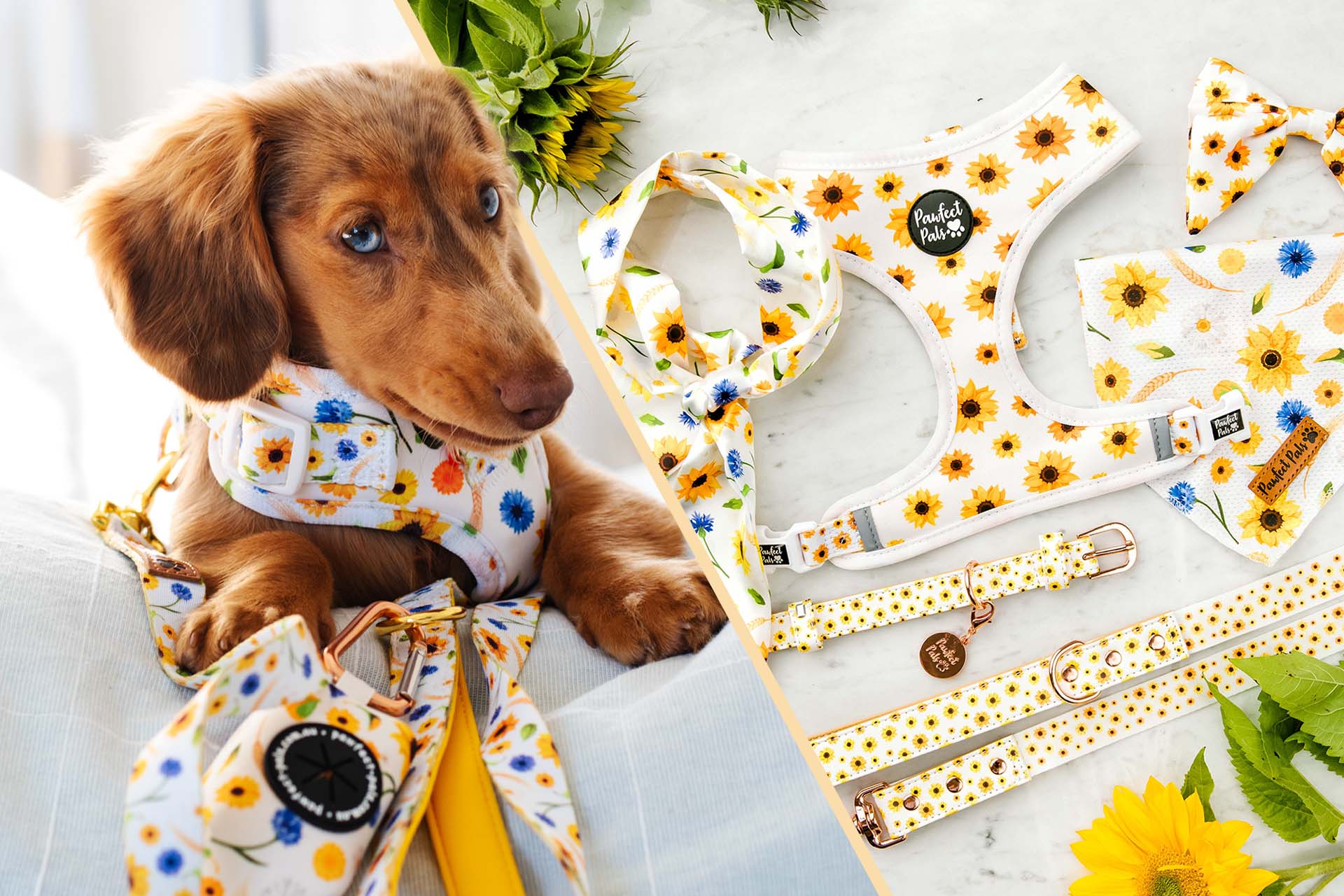 Pawfect Pals dog accessory bundles.