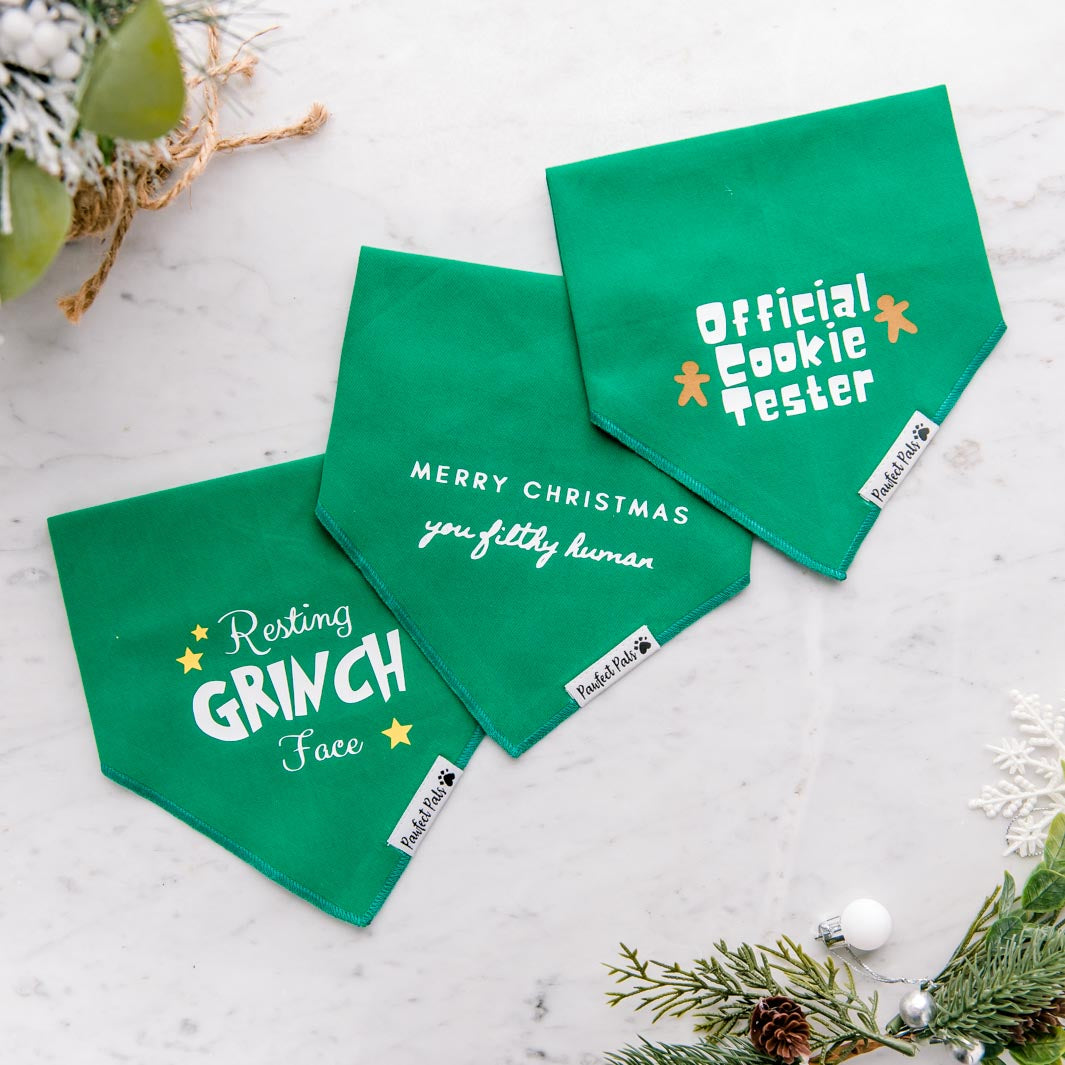 Pawfect Pals Christmas bandanas.