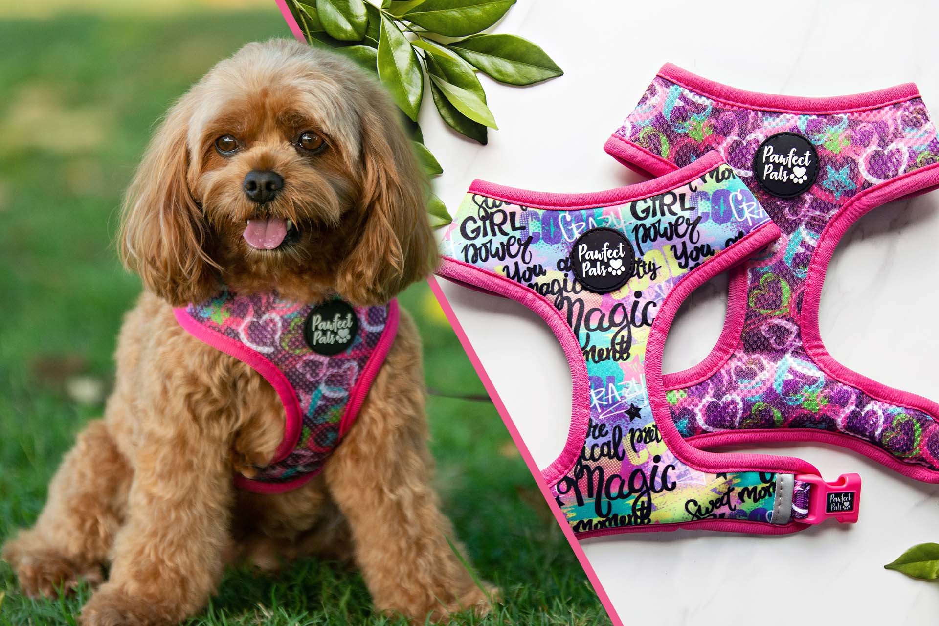 Classy, Sassy and a Little Bad-Assy dog accessories collection.