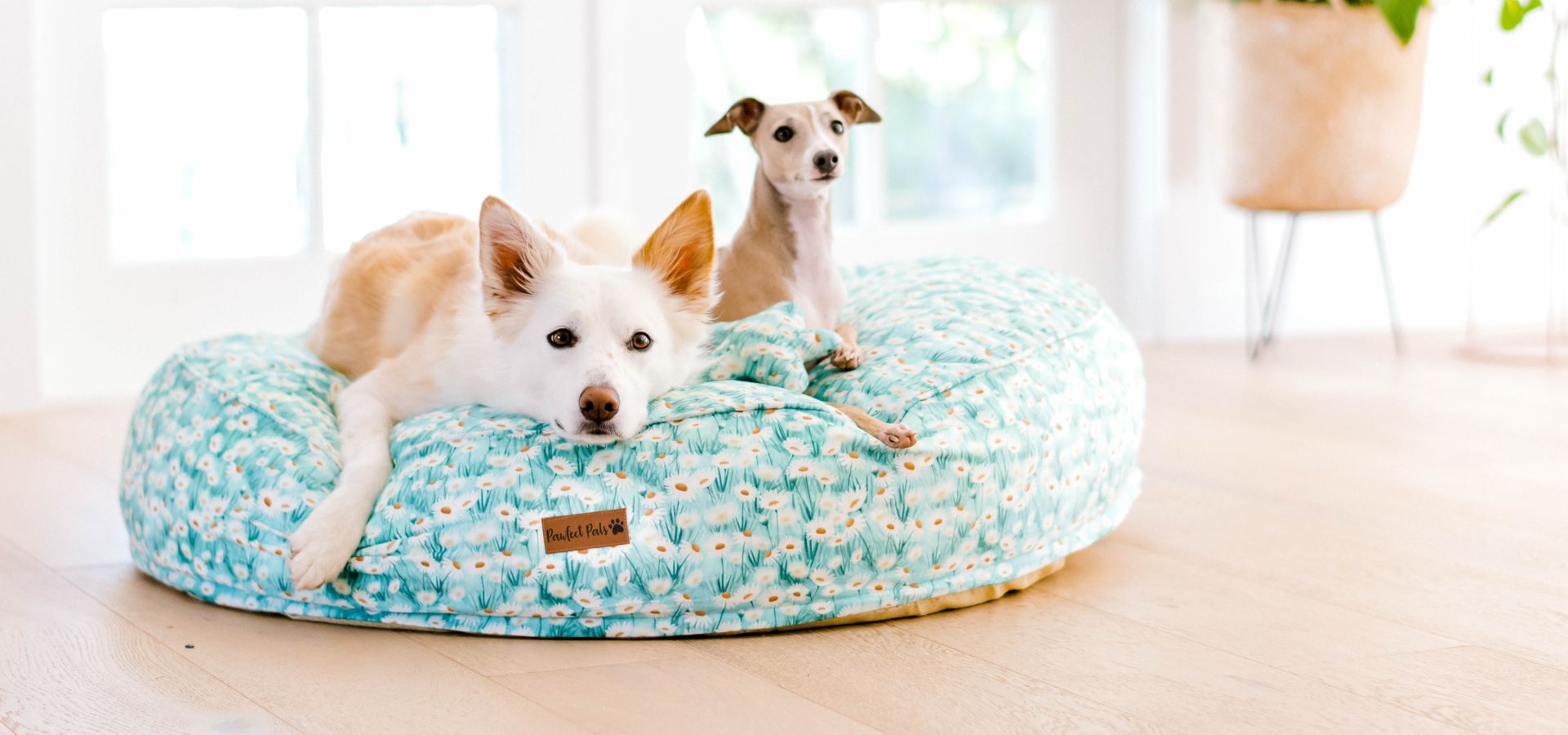 Round Beds - Cuddle Bud Dog Beds