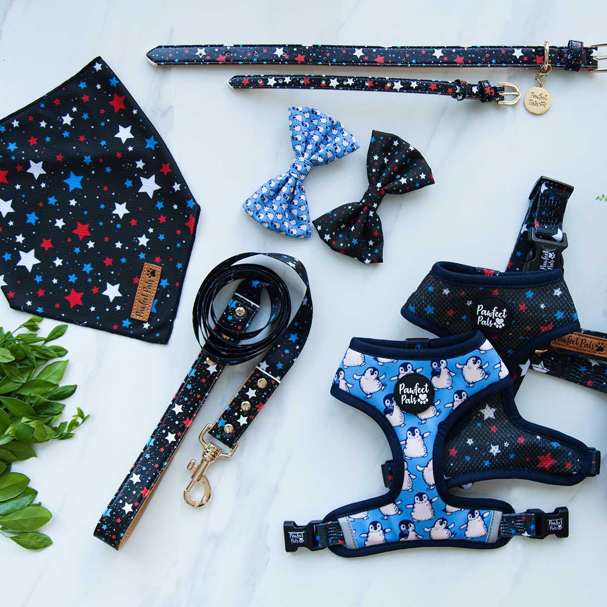 The Dance Amongst the Stars dog accessories collection.