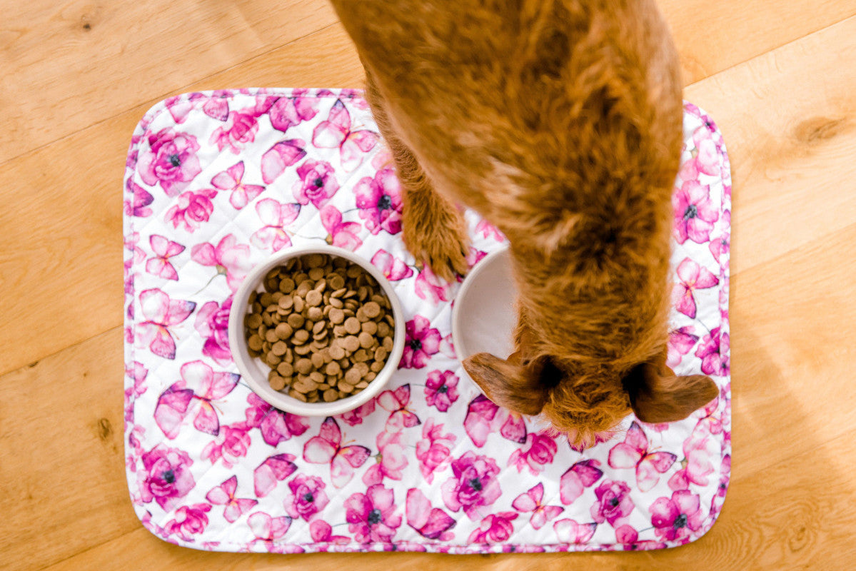 AmbassaDOG Henry eats from his You Give Me Butterflies dog bowl mat.