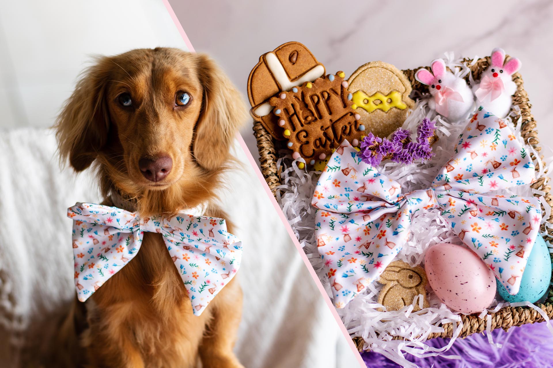 AmbassaDOG Coco next to Easter-themed dog accessories and treats.