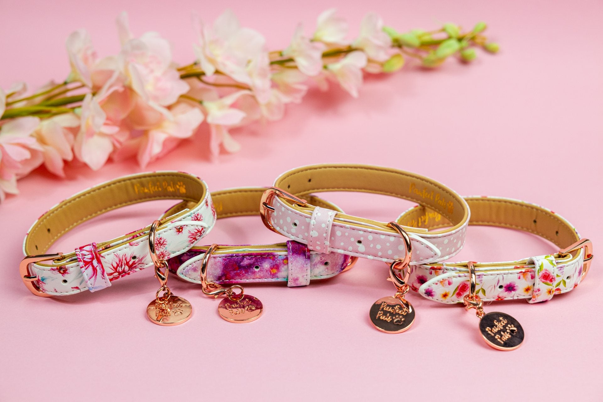 A collection of female dog collars.