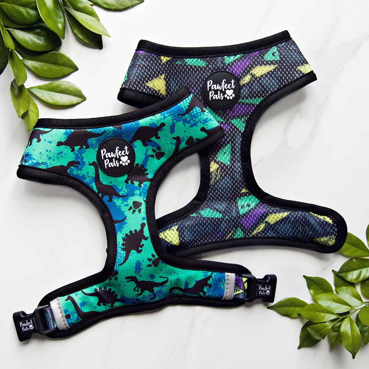 The Jurassic Bark dog accessories collection.