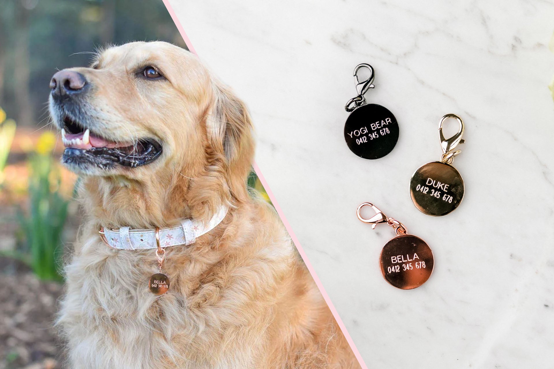 Pawfect Pals engraved tags for dog collars.