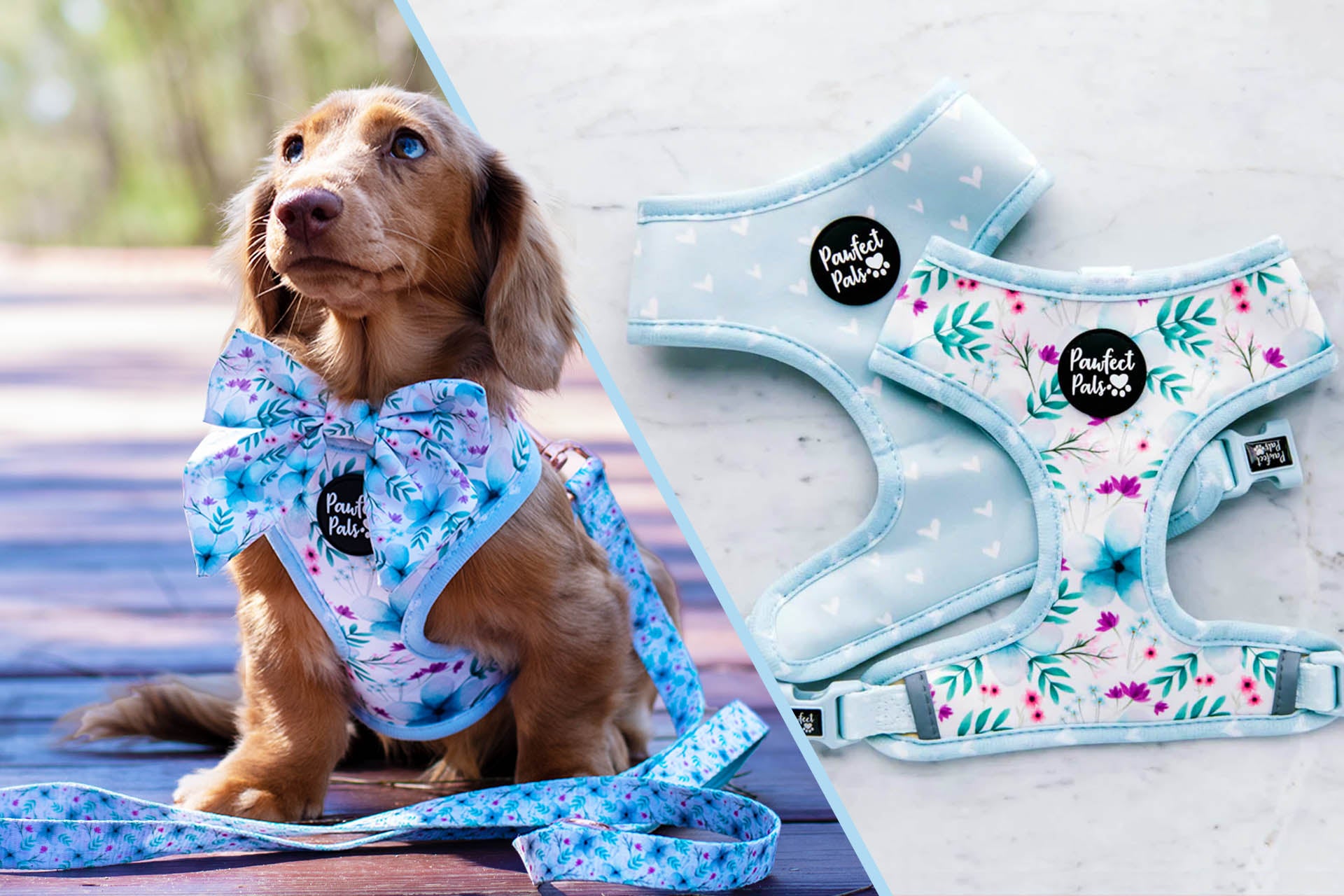 Some'Bud'y to Love dog accessories collection.