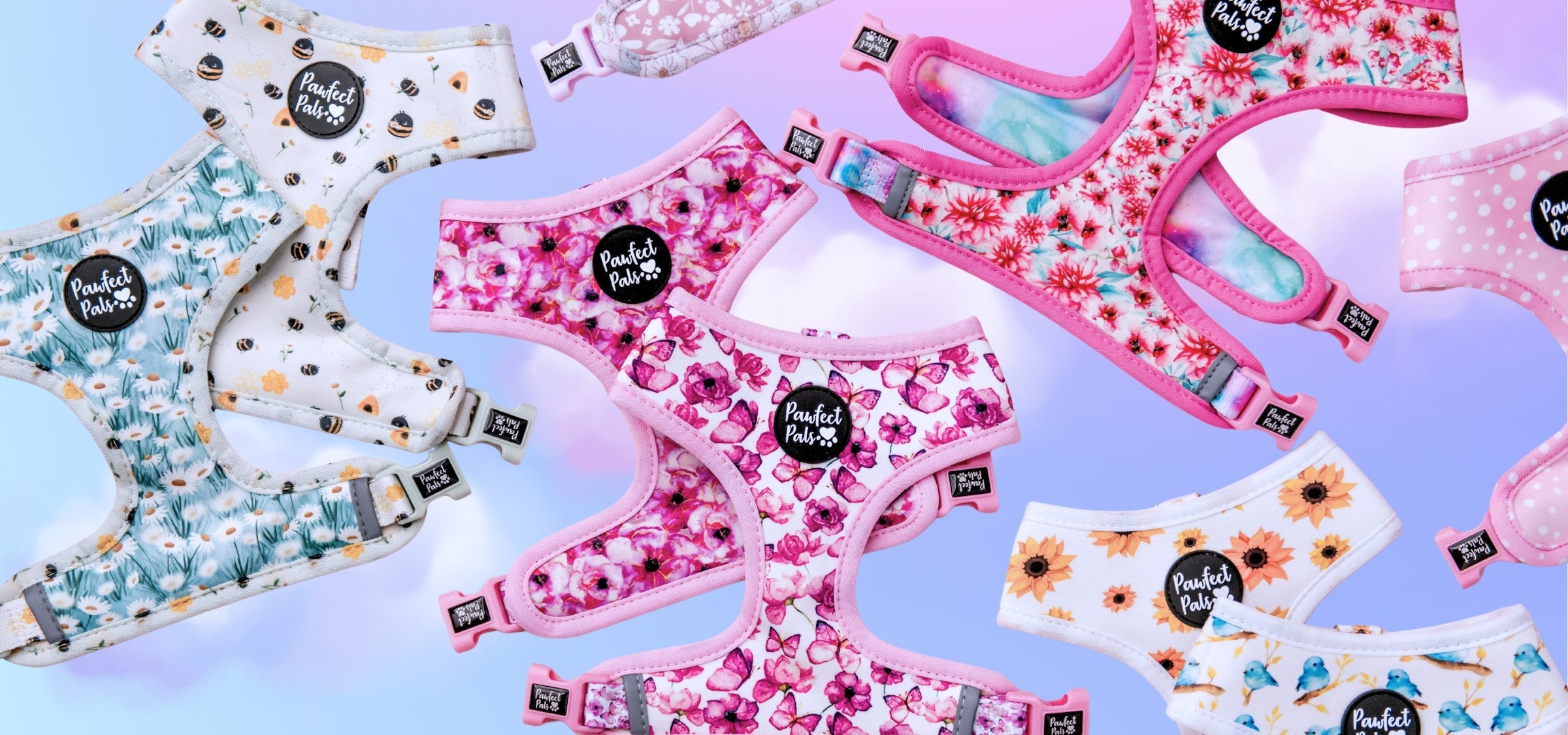 lots of pretty dog harnesses on cloud background