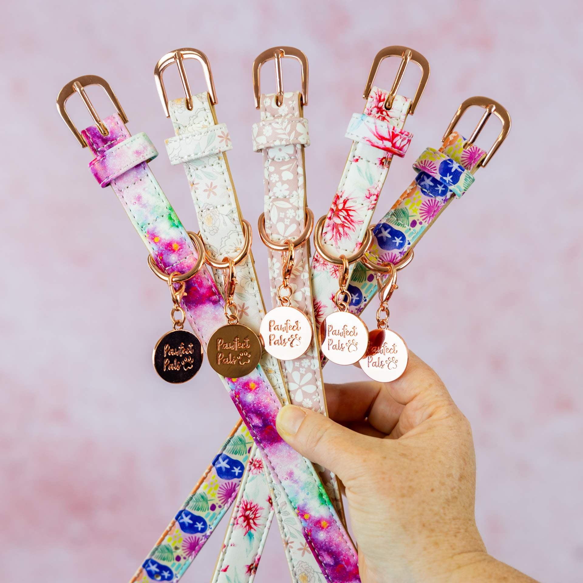 A collection of small dog collars.