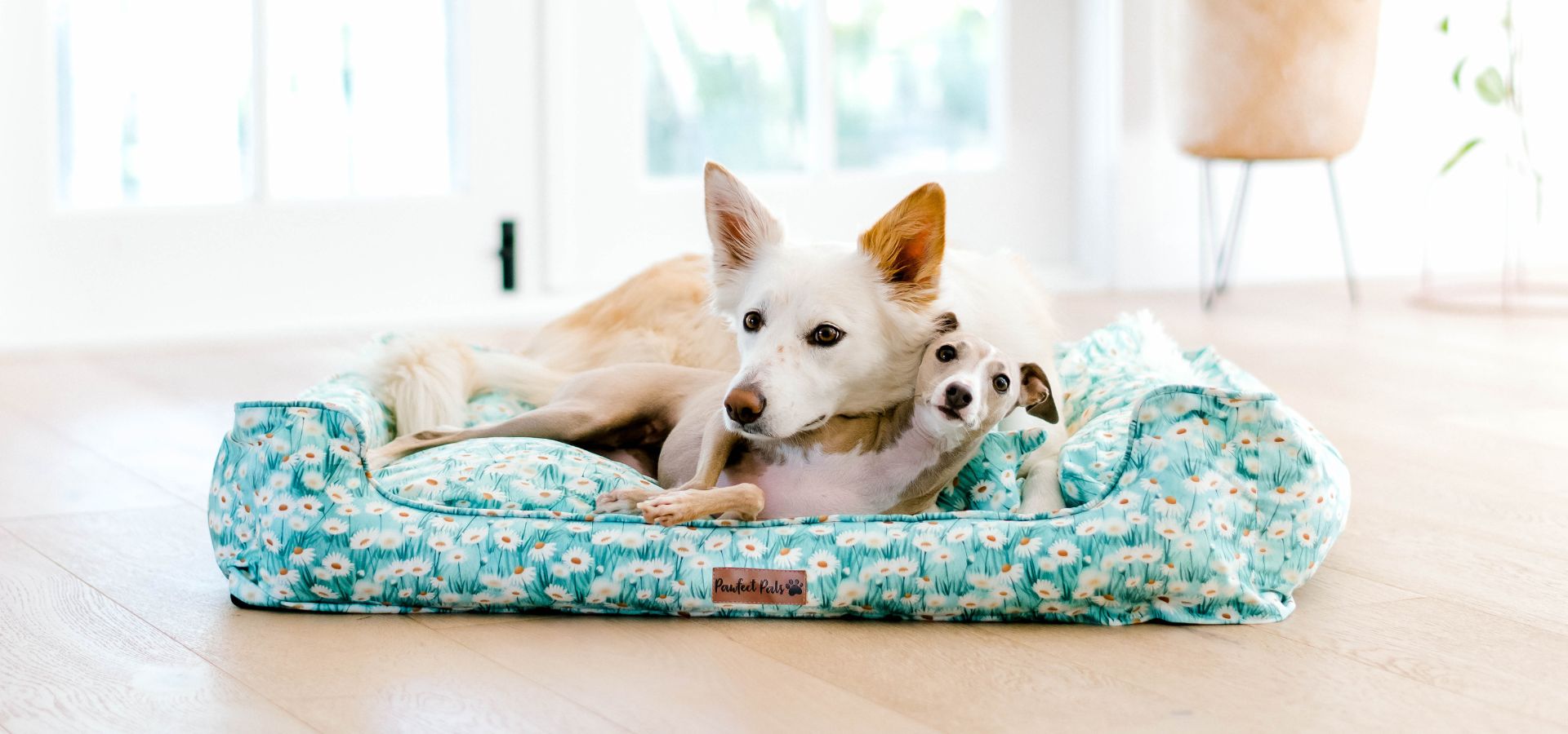 Rectangular Beds - Snuggle Bud Dog Beds