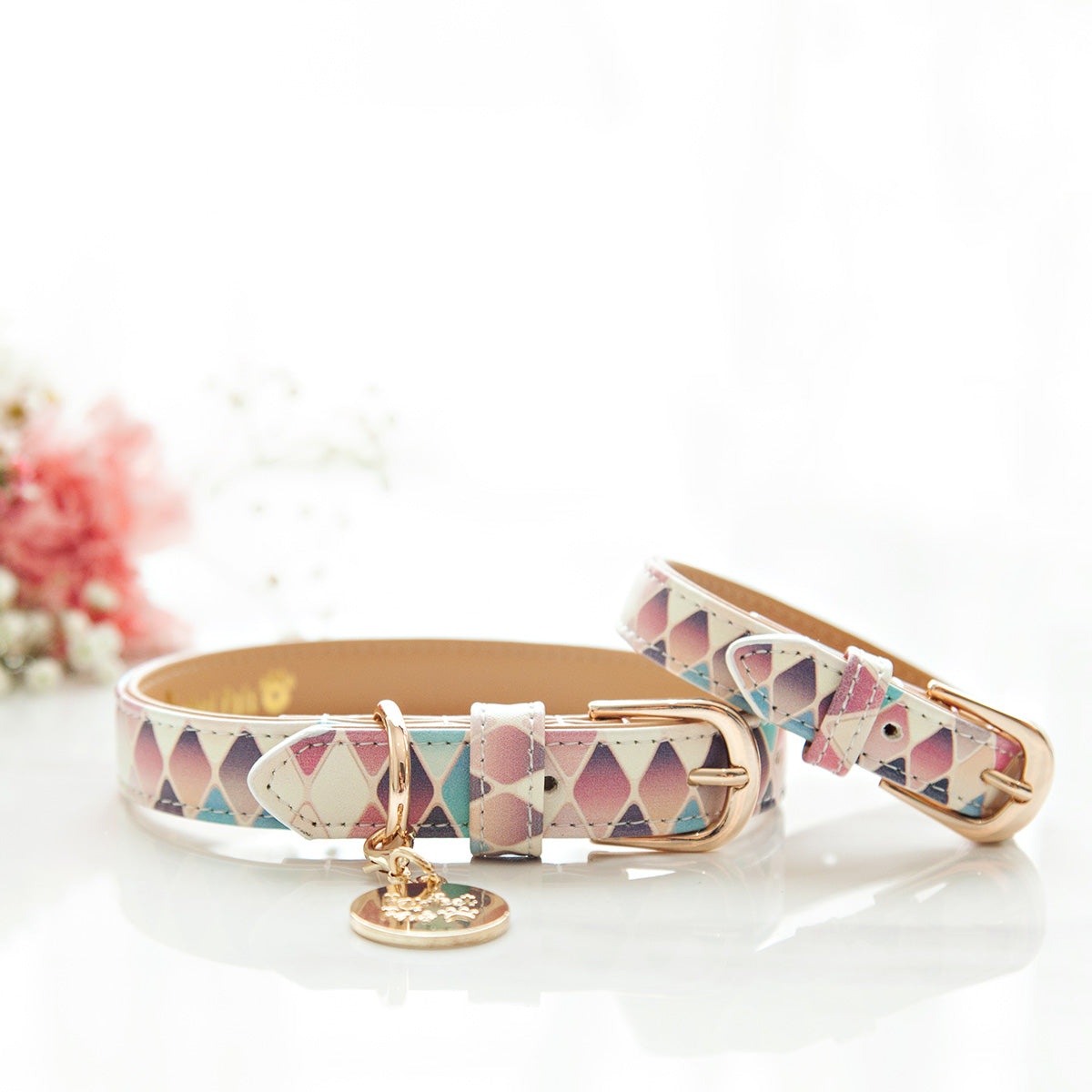 The Sophisticated dog accessories collection.