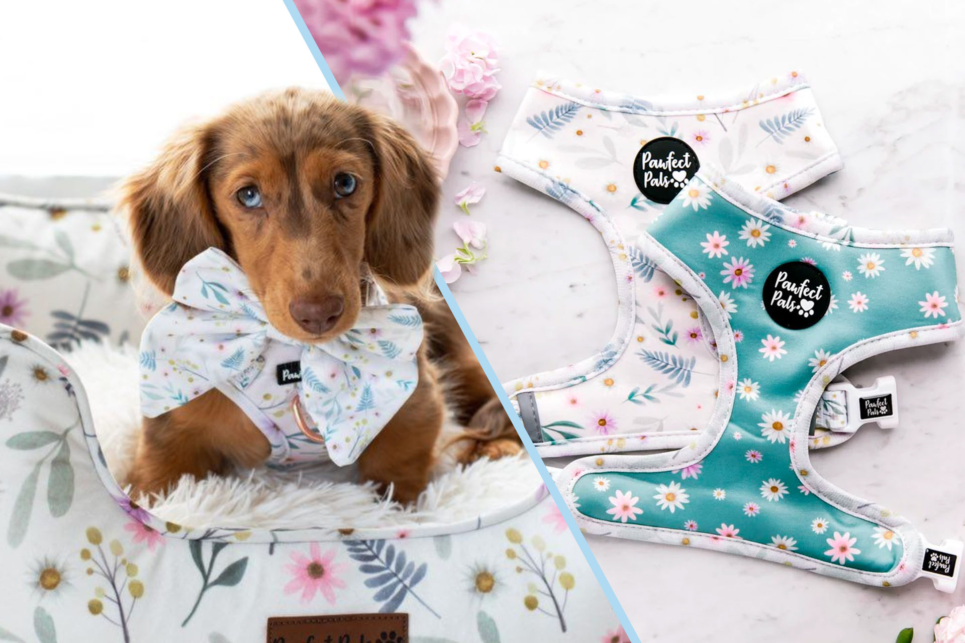Daisy Baby dog accessories collection.