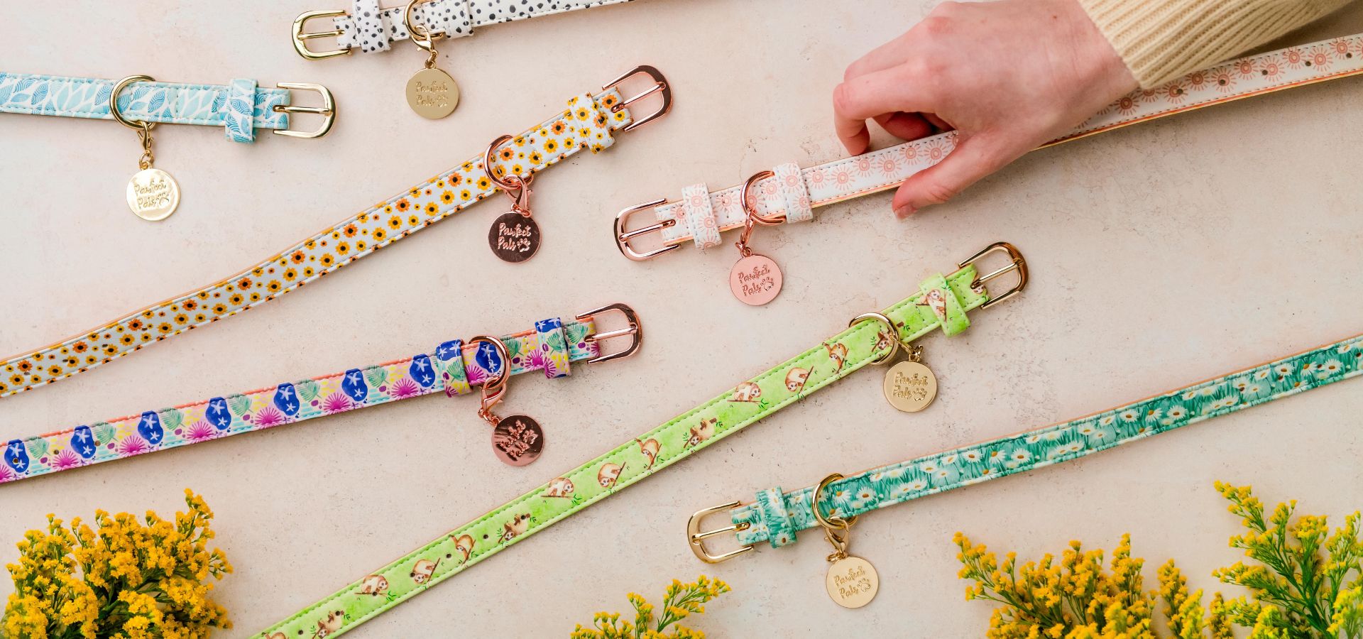 Dog Collars