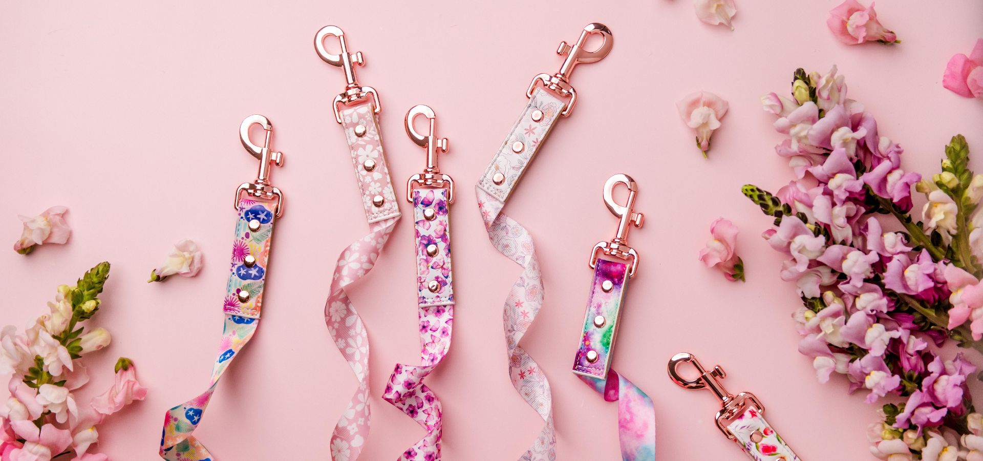 Dog Leads